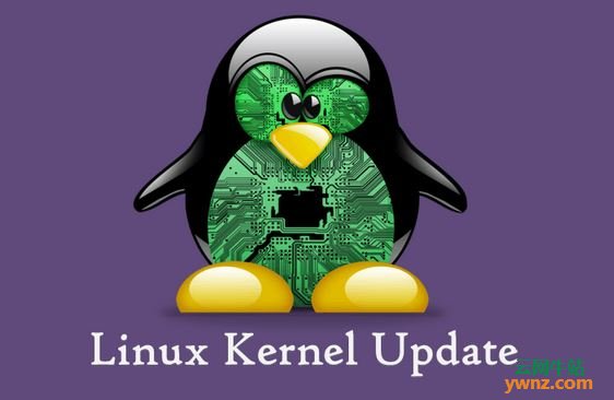 在Deepin系统中使用命令安装Linux kernel 5.1-22.1内核的方法