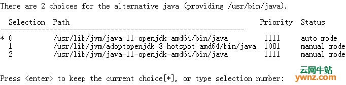 在Debian 10 Linux上安装Java（OpenJDK）的方法