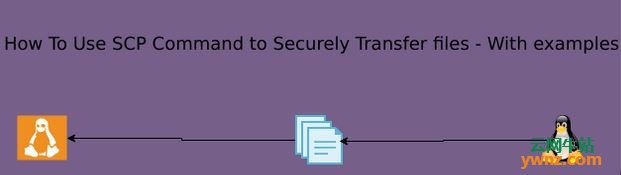 使用scp命令安全地传输带有参数的文件