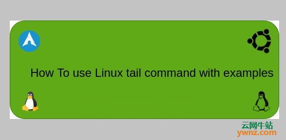 演示使用Linux tail命令的示例