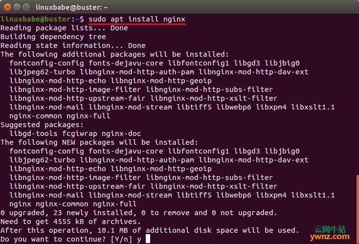 在Debian 10 Buster Server上安装LEMP Stack的方法