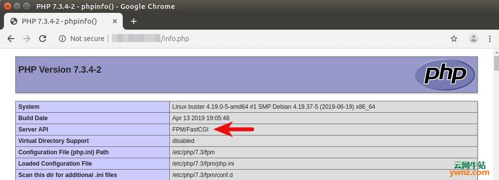 在Debian 10 Buster Server上安装LEMP Stack的方法