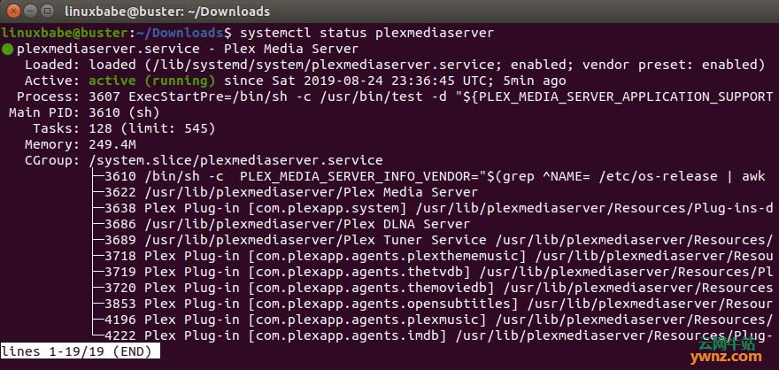在Debian 10 Buster上安装Plex Media Server的简单方法