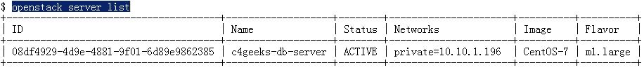 在CLI上创建OpenStack Cinder卷并附加到VM实例/服务器