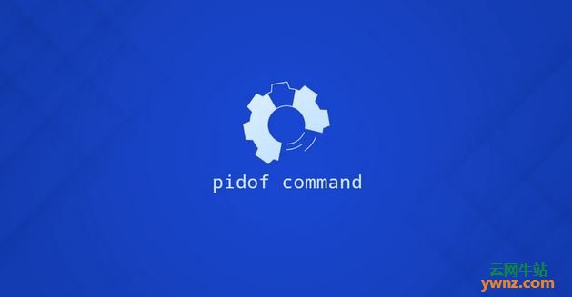在Linux系统下使用Pidof命令及pidof命令的示例用法