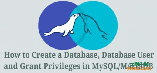 在MySQL/MariaDB中创建数据库、数据库用户和授予特权(针对Linux平台)