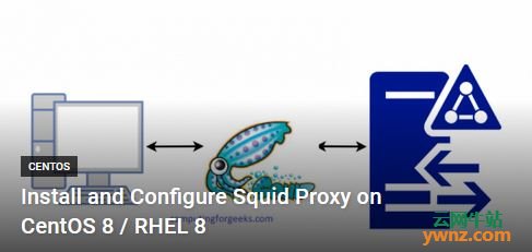 在CentOS 8/RHEL 8服务器上安装和配置Squid代理（Squid Proxy）