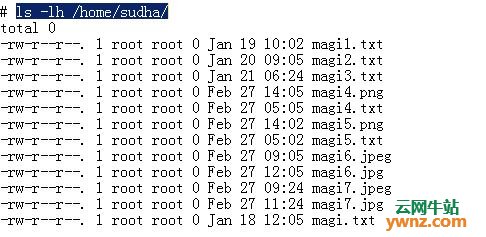在Linux系统中查找和删除早于“X”天和“X”小时的文件