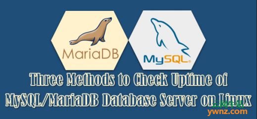 在Linux上检查MySQL/MariaDB数据库服务器正常运行时间的三种方法