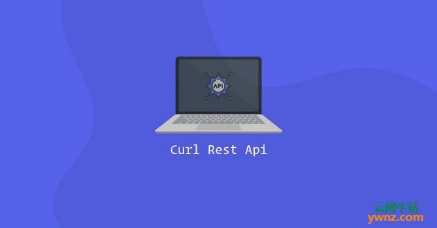 在Linux系统中使用Curl命令发出REST API请求