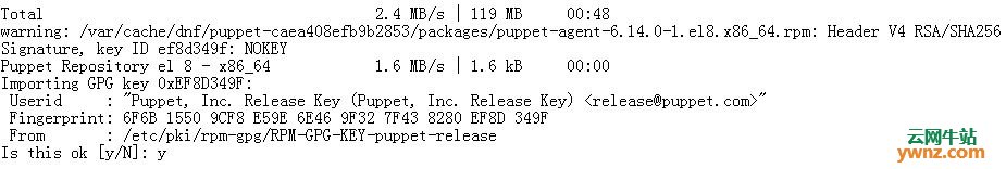 在CentOS 8/RHEL 8上安装和配置Puppet Master/Server的步骤