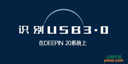 Deepin 20系统能识别USB3.0：如果不能用请重启系统或重插几次