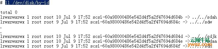 用/sys类文件或rescan-scsi-bus.sh脚本扫描新的LUNs和SCSI磁盘