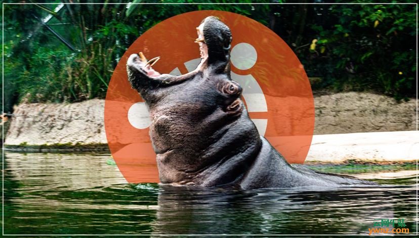 Ubuntu 21.04代号是Hirsute Hippo，将升级GNOME和Linux kernel