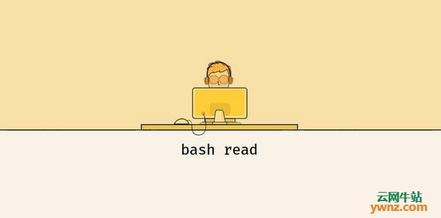 Bash read命令的用法：更改定界符、提示字符串、将单词分配给数组