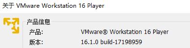 VMware 16虚拟机安装红旗Linux 11.iso后无法启动的解决方案