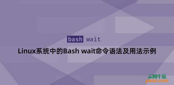 讲解Linux系统中的Bash wait命令语法及用法示例