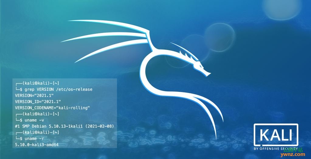 Kali Linux 2021.1发布下载，附更新及升级到2021.1版的说明