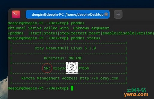在Deepin 20 Linux系统下安装和配置花生壳免费内网穿透软件