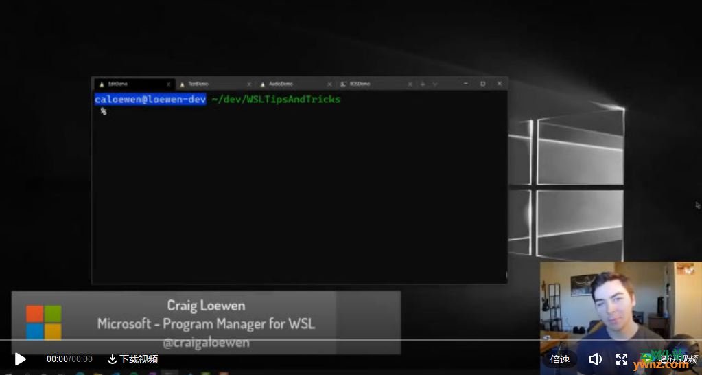 Windows Subsystem for Linux(WSL)运行Linux GUI应用的视频