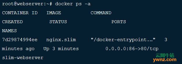 在Linux上安装DockerSlim并使用它最小化和优化Docker容器