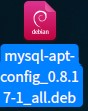 在Deepin 20.2系统中换源并全新图解安装MySQL数据库