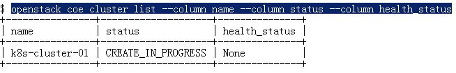 使用Fedora CoreOS在OpenStack Magnum上创建Kubernetes集群