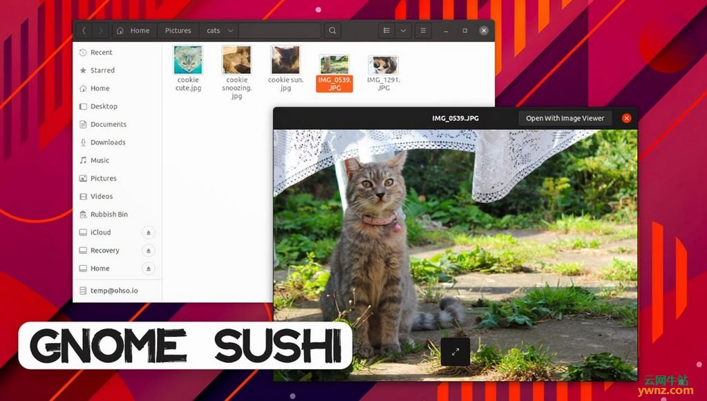 安装GNOME Sushi以在Ubuntu上获取macOS的Quick Look功能